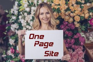 One Page Site, Tema, Menü
