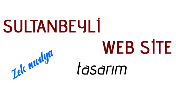 sultanbeyli-web-tasarim