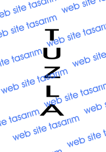 Tuzla Web Site Tasarım Firması